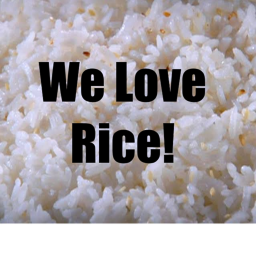The Rice Field
