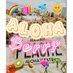 AL0HA BERRY || Training