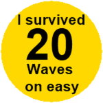Survived 20 waves on easy
