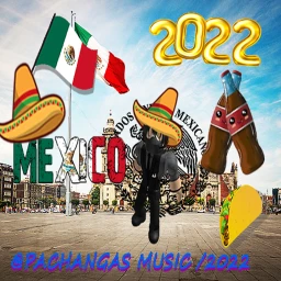 Pachangas2 music /2022 icon