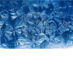 Silent Frost Clan