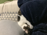 たあたあ