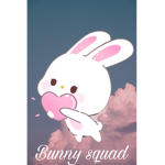 The bunny squad12345