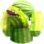 Melon-Shark Crew