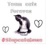 Team Cats Foreves