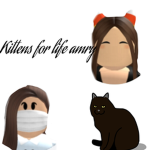 kittens for life amry