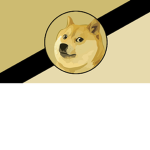 the doge goverment
