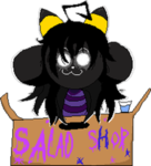 Salad’s team