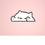 Bongo Cat Team
