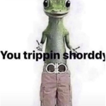 idiorsh