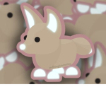 The Fennec Foxs >w<