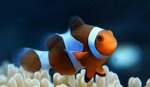 THE MINECRFT FISHYS