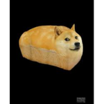 Ninja_gamer Group