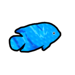 Scuba Sigmas