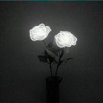 Midnight R0ses