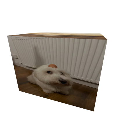 Cardboard_Box Dog