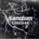 $anctum