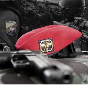 Panggilan Sang Dwiwarna