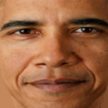 ОBAMA LAND