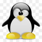 The Perfect Penguins
