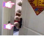 love bears <3