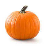 Pumpkin Slices