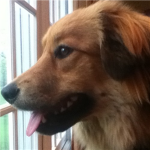 Nell is my overlord