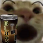 Classy cat studios