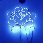 Blue Mango Merchandise