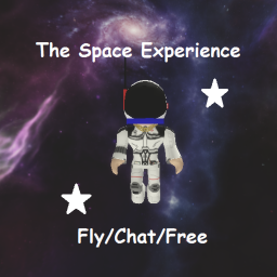 The Space Experience