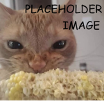 aaaaaai