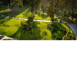 Vibe Park Hangout (NEW!!)