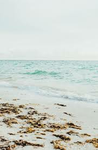 Coastal paradise