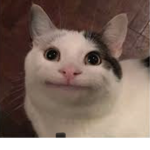 pikmipop