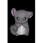 Chinchilla fans