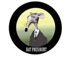 Mice's White House