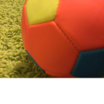 Soccer and dog fan