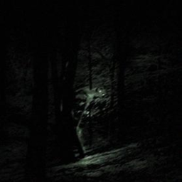 Lost.. (Chapter A: Behind the Locks) (W.I.P)