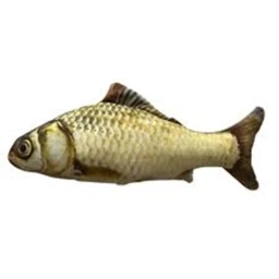 fish icon
