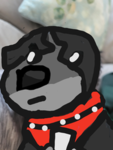 Dog named donut