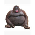 monke group.,