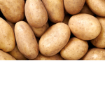 Potato family fl