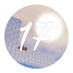 Secret 17
