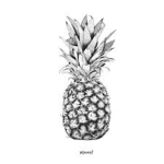 TWISTED PINEAPPLES