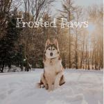 Frosted Paws: Sled Dog RP