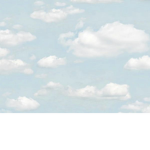 iipandaxclouds