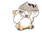 konmeoquann