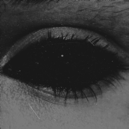 ⋆·˚ .
