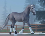 PennyLake Horse Events
