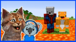 I love gravy koala man and gravy cat man